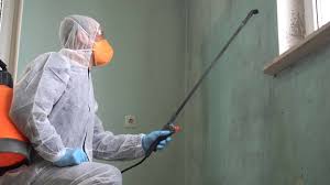 Best Asbestos and Lead Testing During Mold Inspection  in Cool Valley, MO