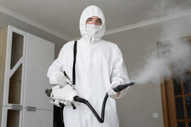 Best Residential Mold Inspection & Testing  in Cool Valley, MO