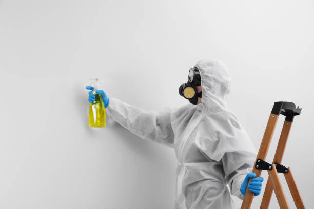 Best Mold Prevention Services  in Cool Valley, MO