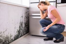 Best Forensic Mold Investigation  in Cool Valley, MO